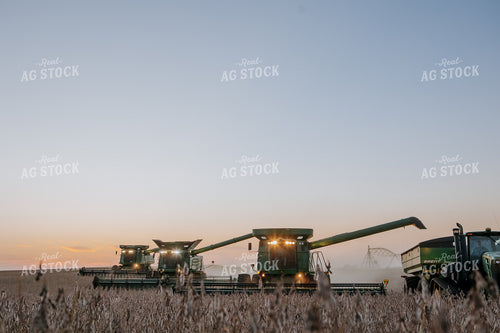 Soybean Harvest 77296