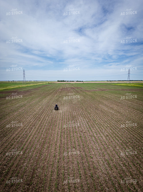 Female Agronomist Scouting Field 67726