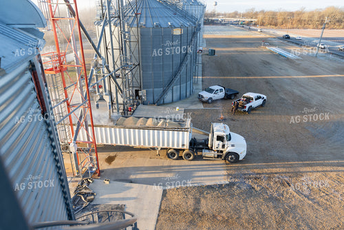 Unloading Semi Trailer at Grain Storage 79764