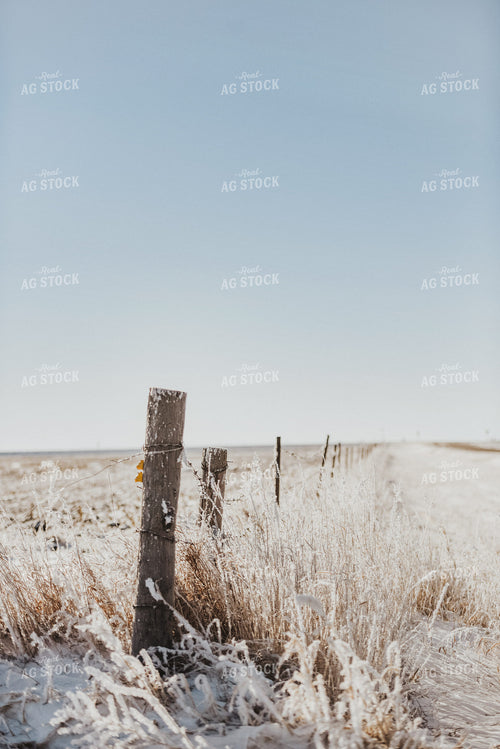 Snowy Field and Fence Line 68002