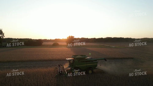 Soybean Harvest 115193