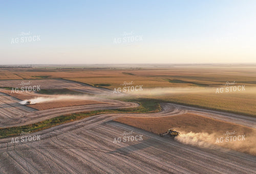 Soybean Harvest 141445