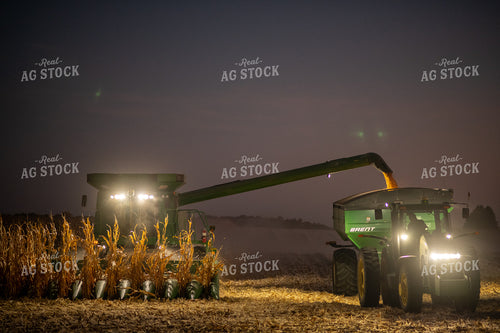 Corn Harvest at Night 76350