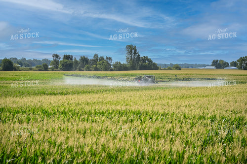 Self-Propellerd Sprayer in Corn Field 90138