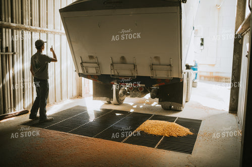 Truck Unloading Corn into Pit at Elevator 4718