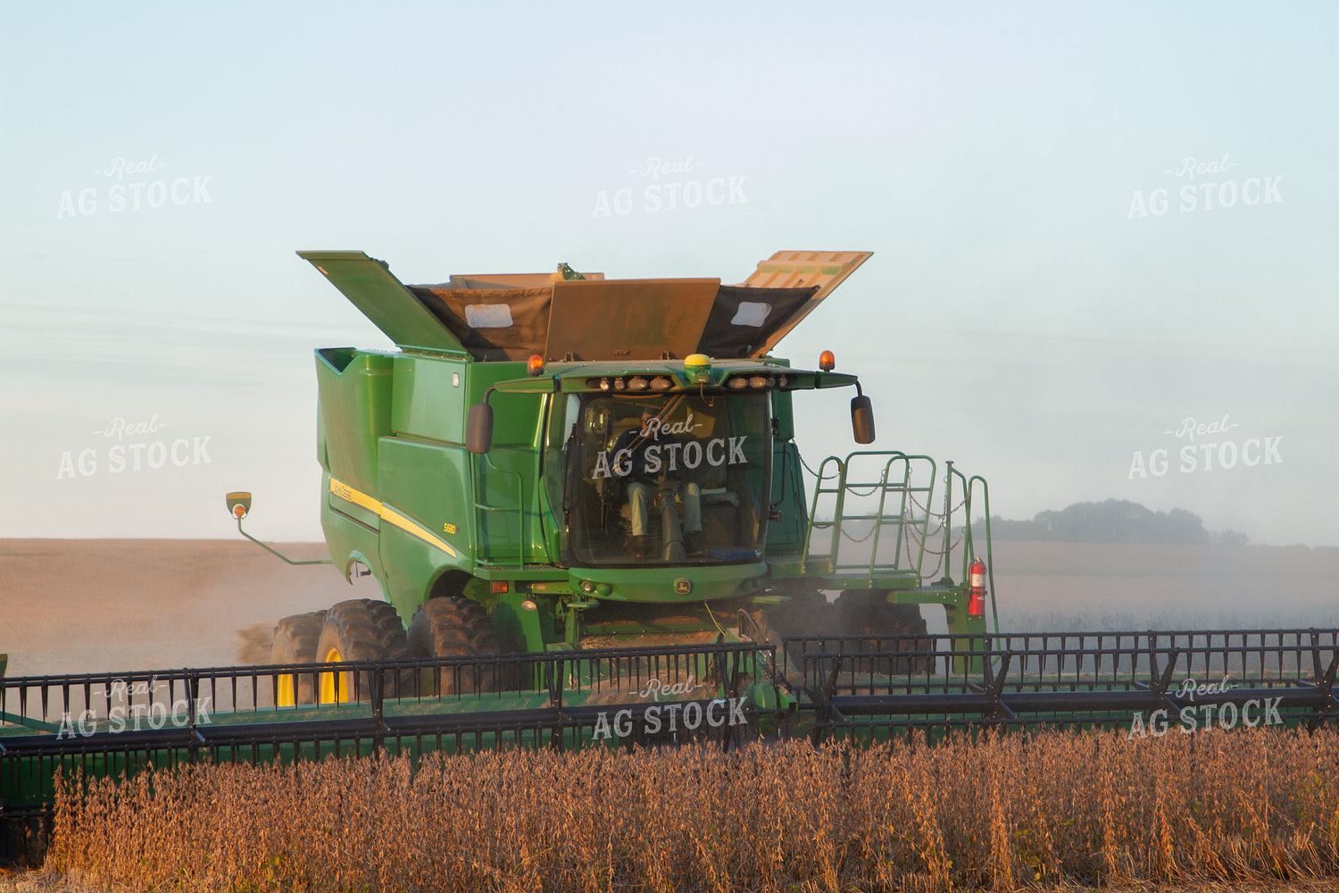 Soybean Harvest 79039