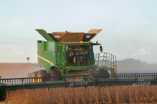Soybean Harvest 79039