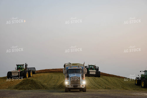 Storing Corn Silage 152543