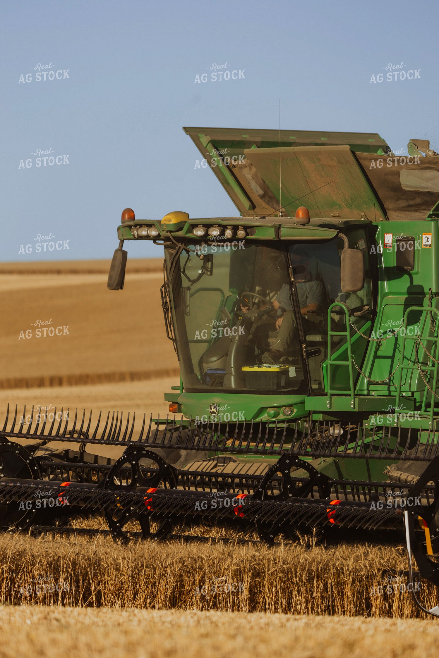 Wheat Harvest 187283