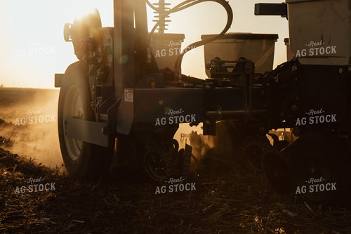 Planting 67565