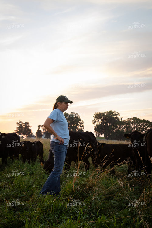 Checking Cattle on Pasture 268356