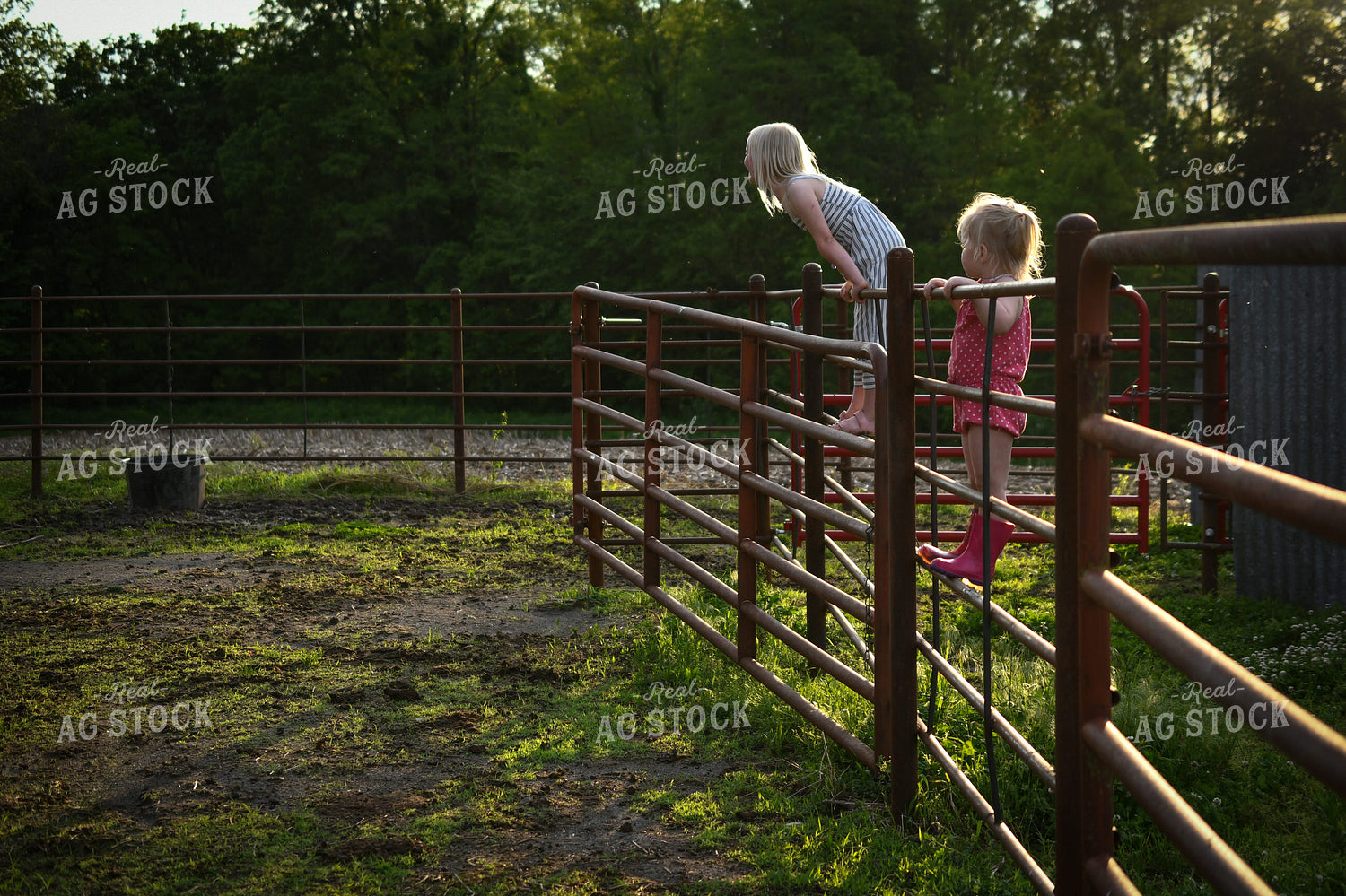 Farm Kid Leaning on Fence 191170