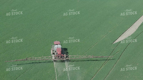 Spraying Winter Wheat 239579