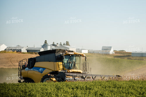 Soybean Harvest 215111