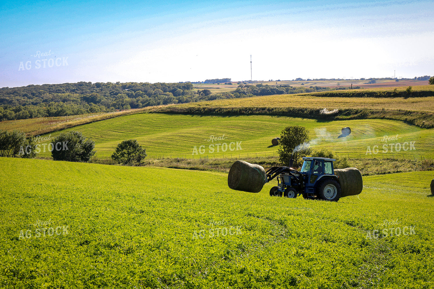 Moving Hay Bales 214089