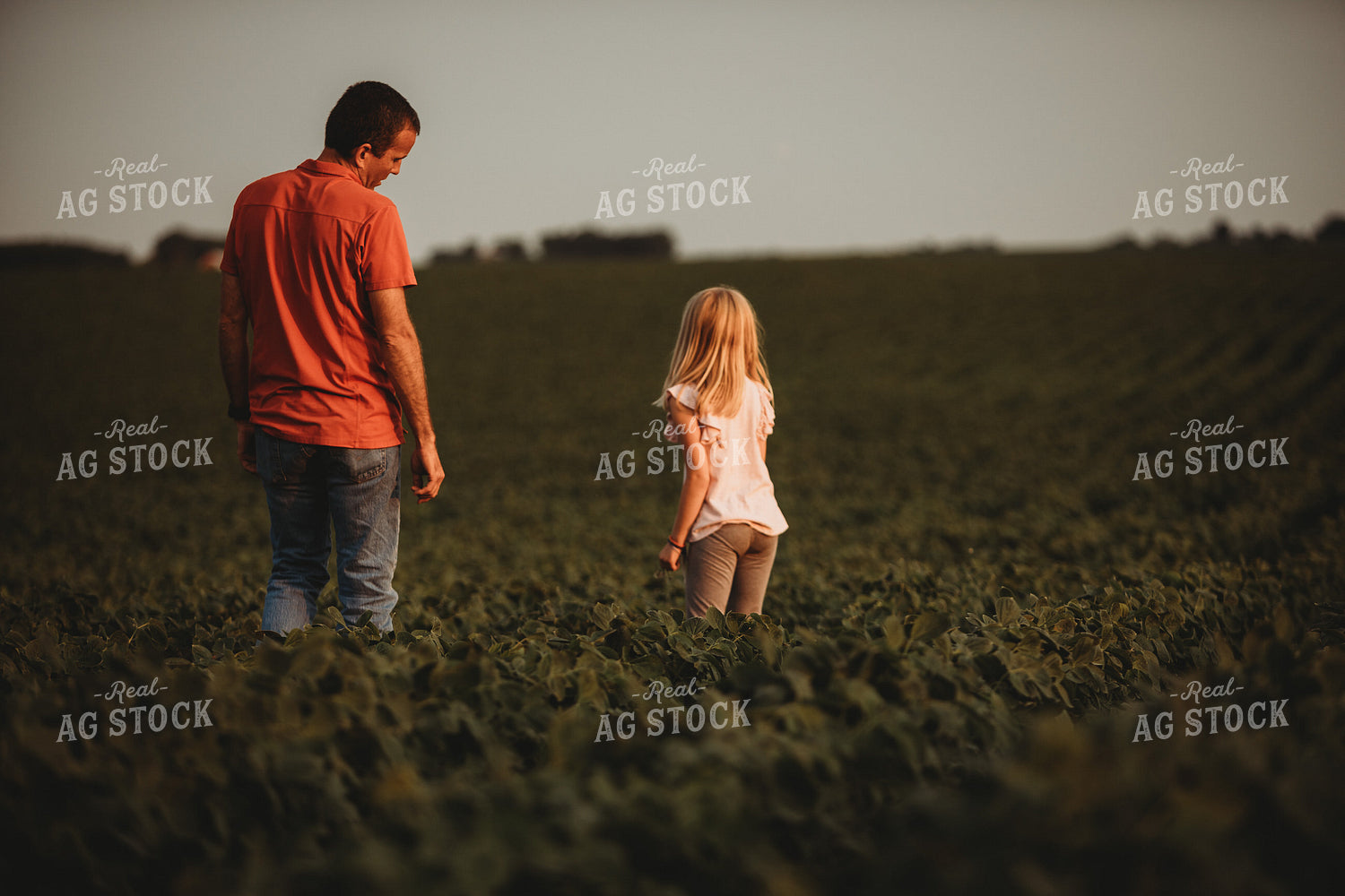 Farmer and Farm Kid Checking Crops in Soybean Field 4584