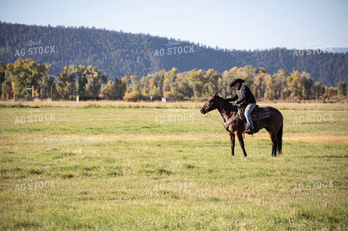 Rancher on Horseback 117145