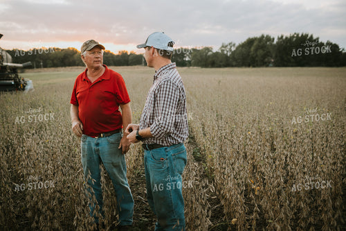 Farmers Standing in Dried Soybean Field at Sunset 4978