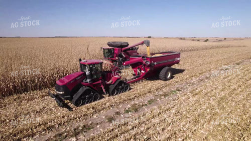 Corn Harvest 114086