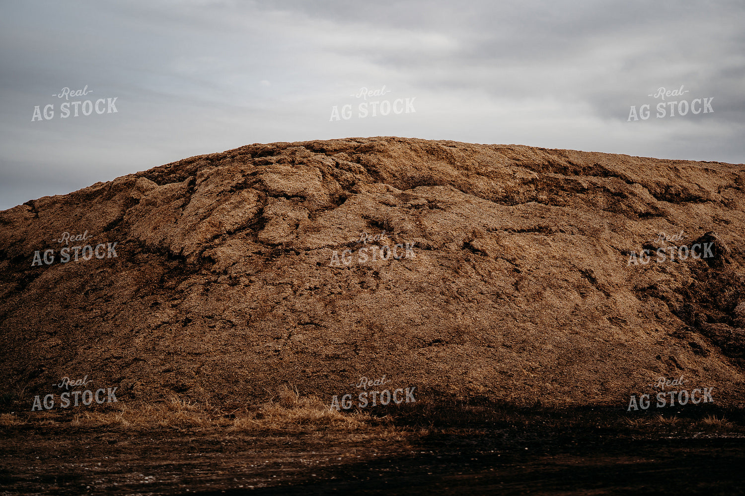 Uncovered Silage Pile 196181