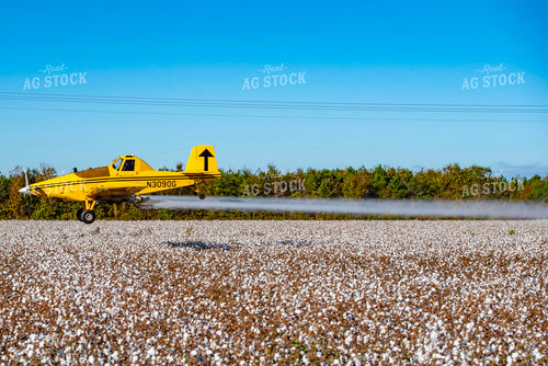 Crop Duster Spraying Cotton Field 136256