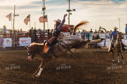 Rodeo 115165