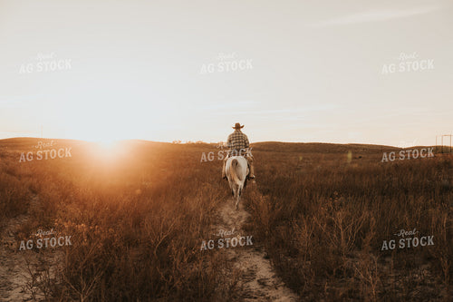 Cowboy on Horseback 61201