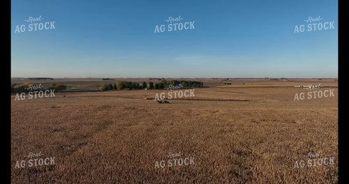 Moving Cattle 274049
