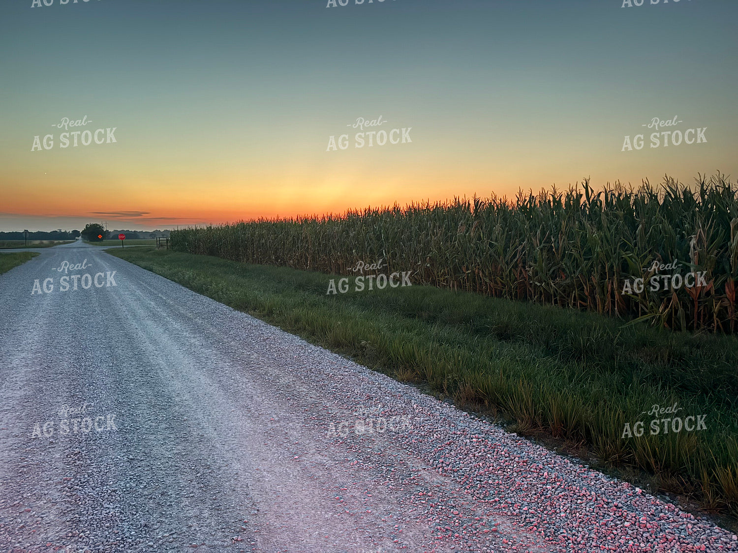 Rural Road 228020