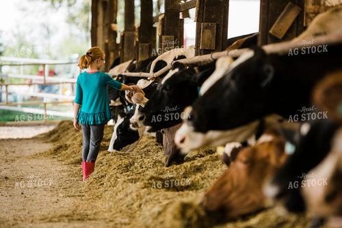 Dairy 2691