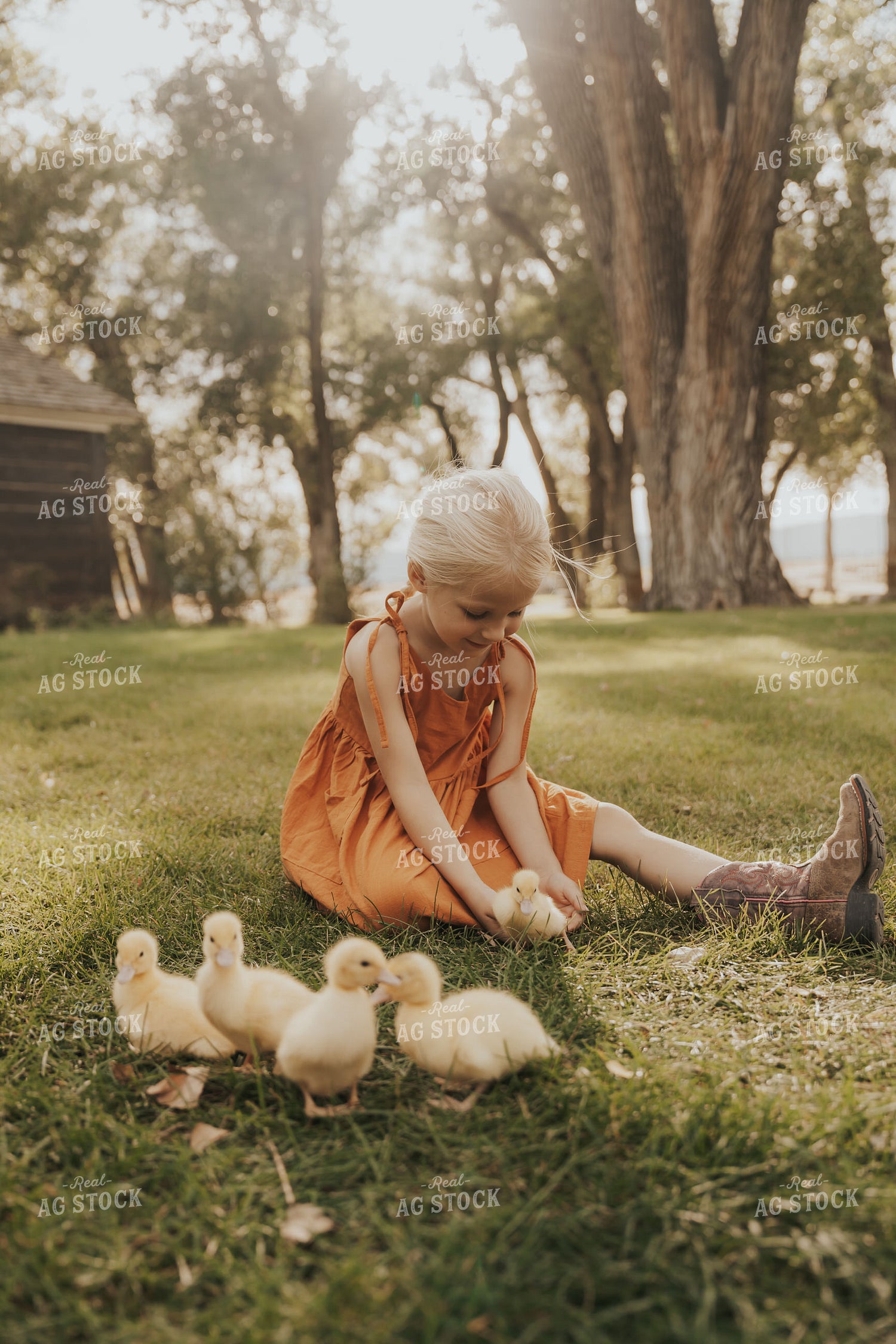 Farm Kid with Ducklings 61243