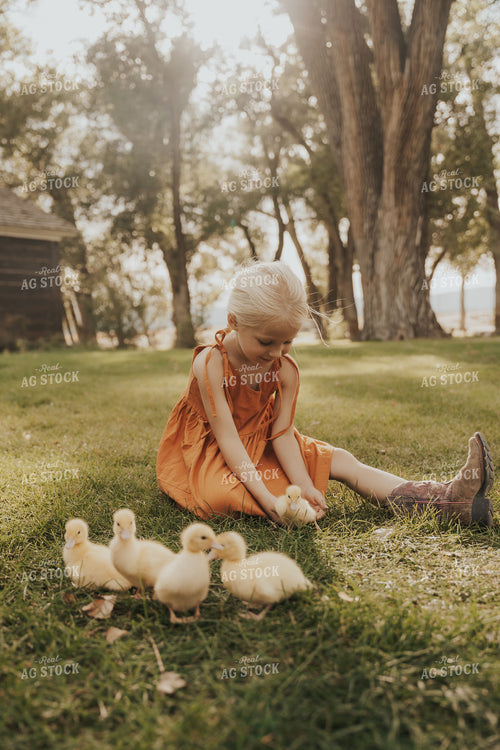 Farm Kid with Ducklings 61243