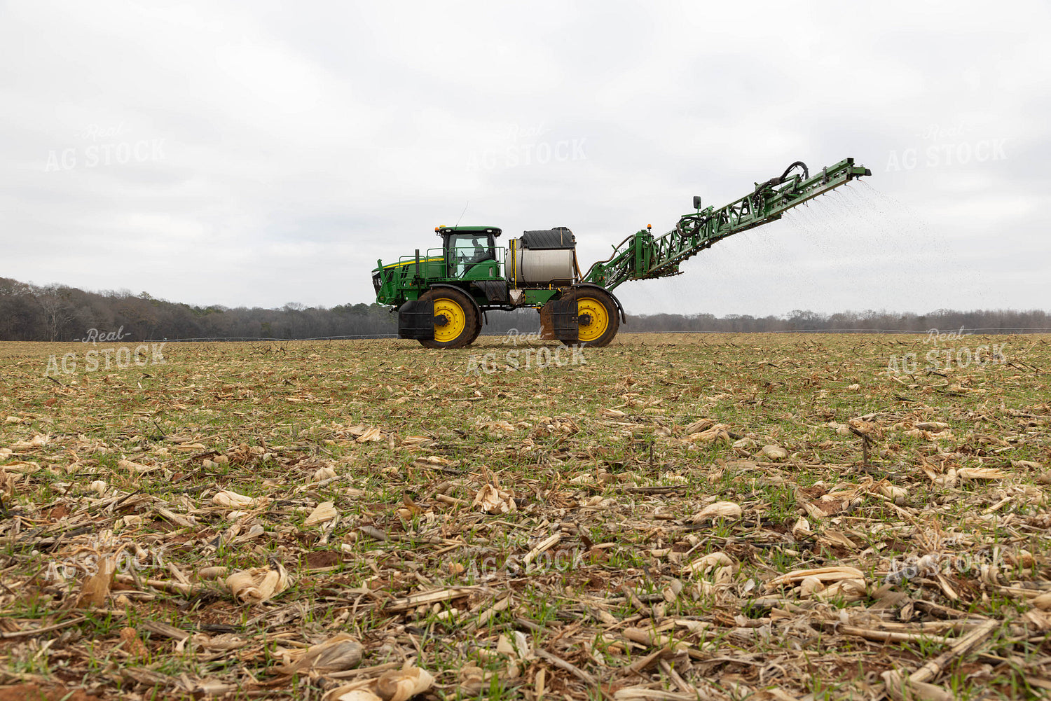 Spraying 79613