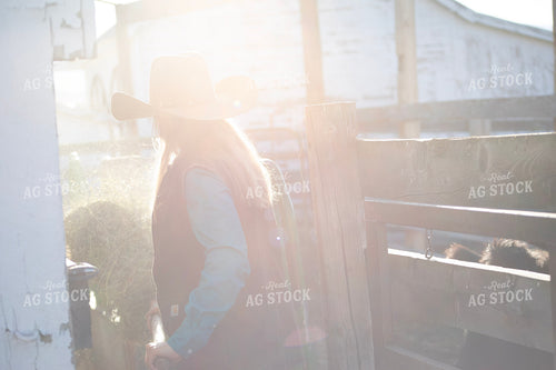 Female Rancher Feeding Cattle 117089