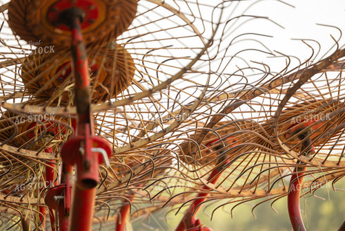 Hay Rakes 143012