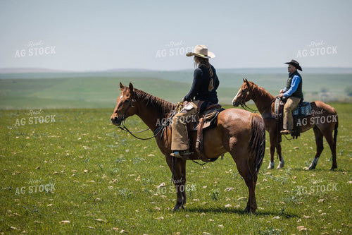 Ranchers on Horseback 219031