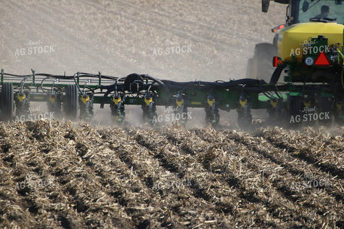 Planting 82239