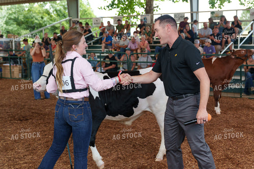 Showing Cattle 52842
