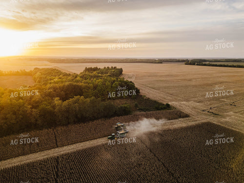 Aerial of Corn Harvest 115390