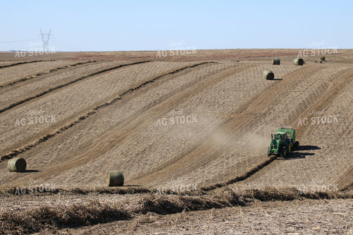 Baling Hay 82043