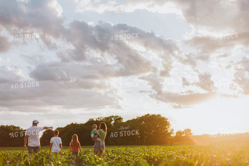 Farm Family Checking Corn 8816