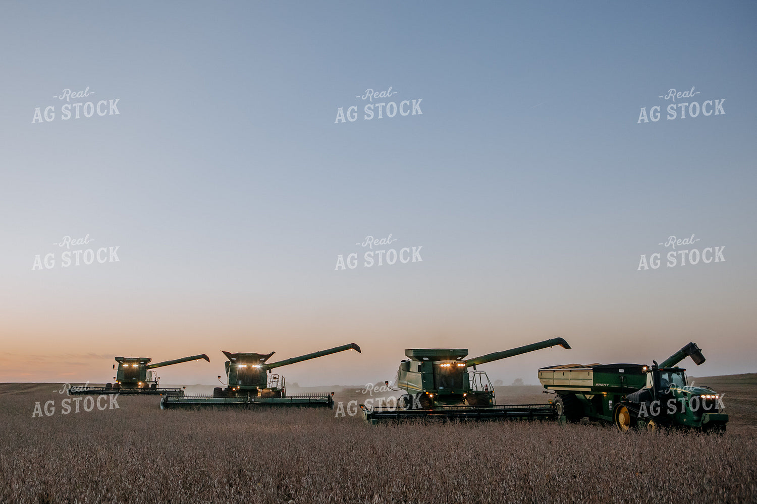 Soybean Harvest 77295