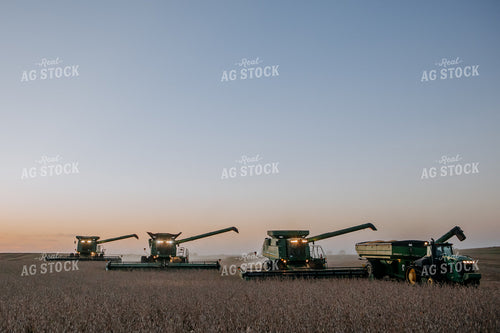 Soybean Harvest 77295
