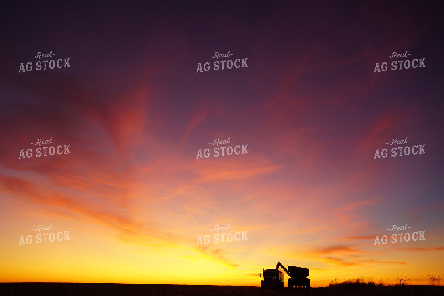 Grain Cart Filling Semi at Sunset 65015