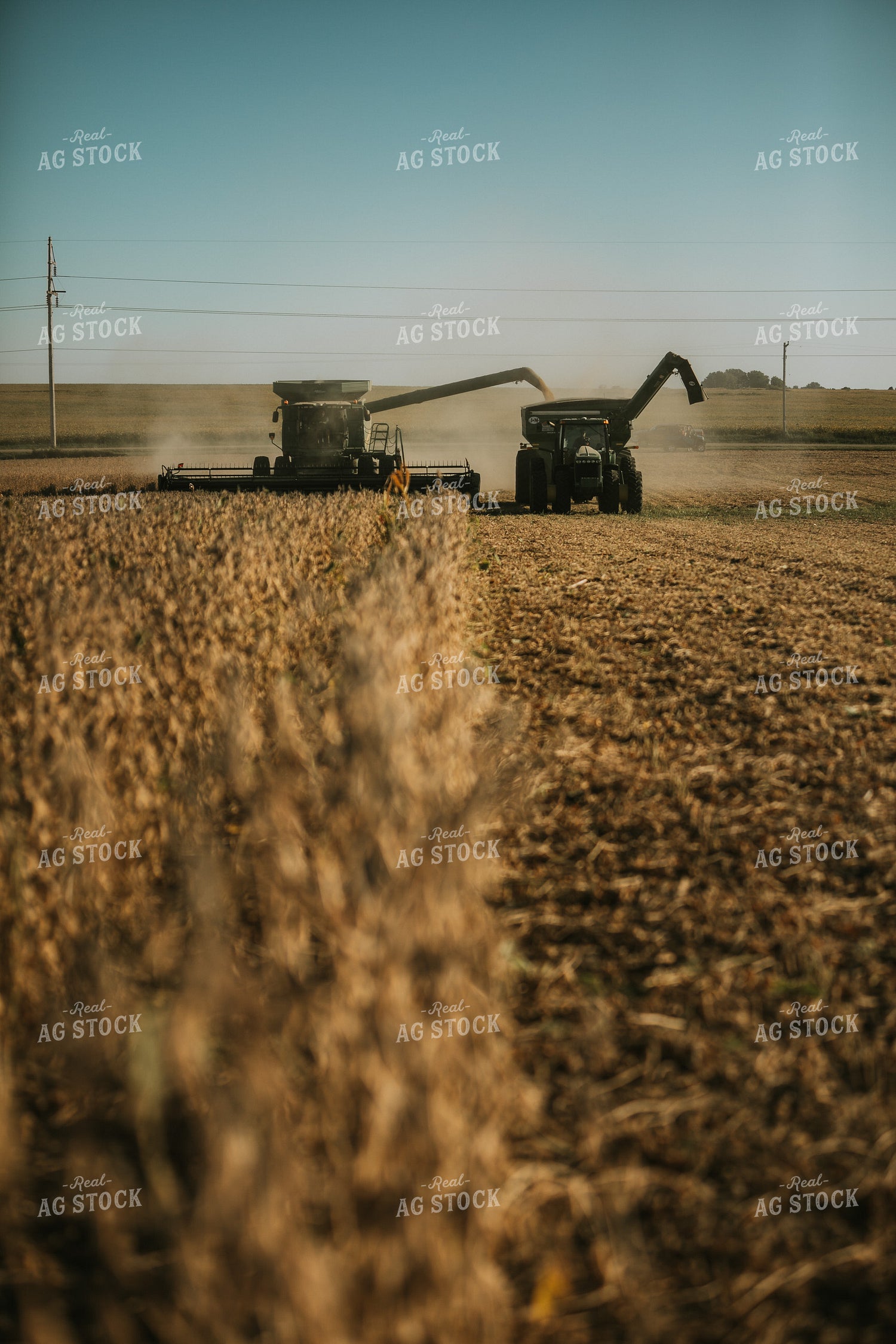 Combine Cutting Soybeans and Unloading On the Go 4780