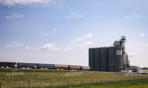 Grain Terminal 238003