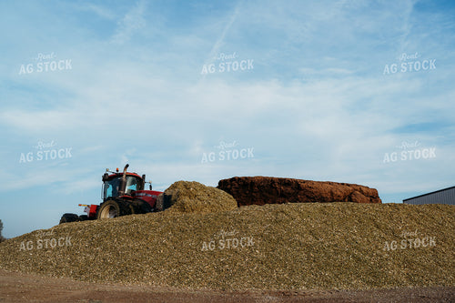 Packing Silage Pile 196363