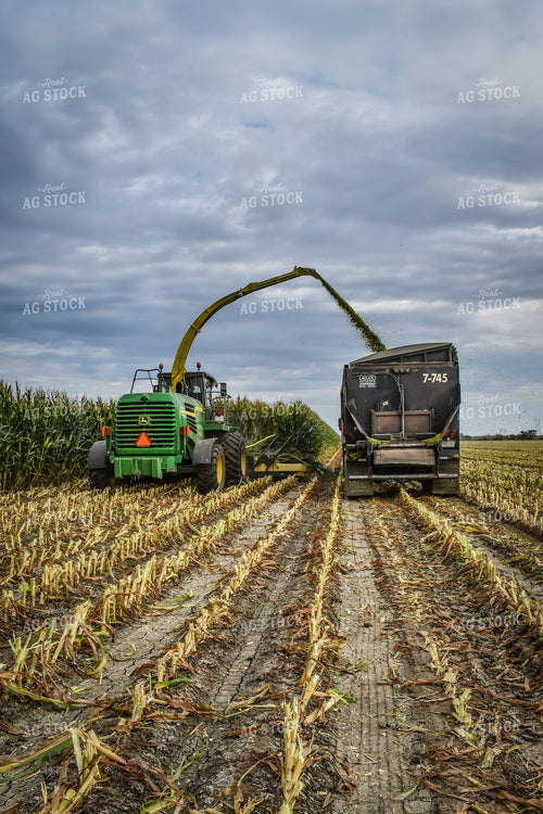 Silage Harvest 56230