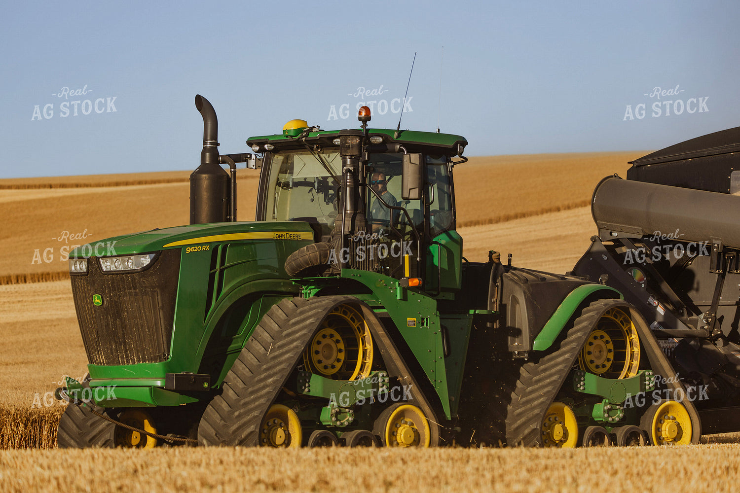 Wheat Harvest 187334