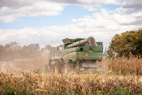 Corn Harvest 270643